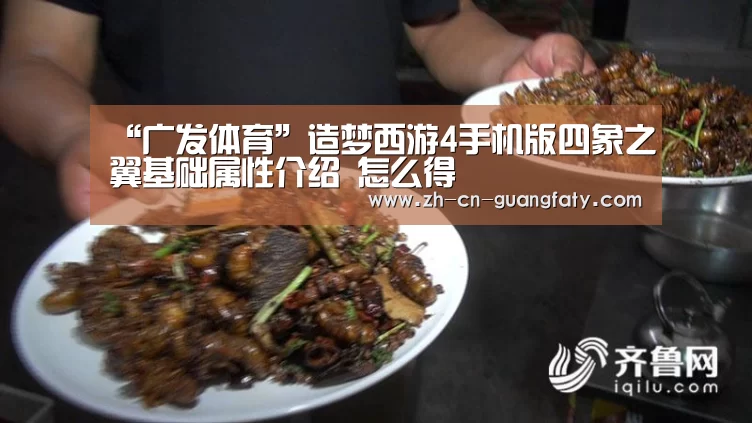 “广发体育”造梦西游4手机版四象之翼基础属性介绍 怎么得(图4) 广发(中国)