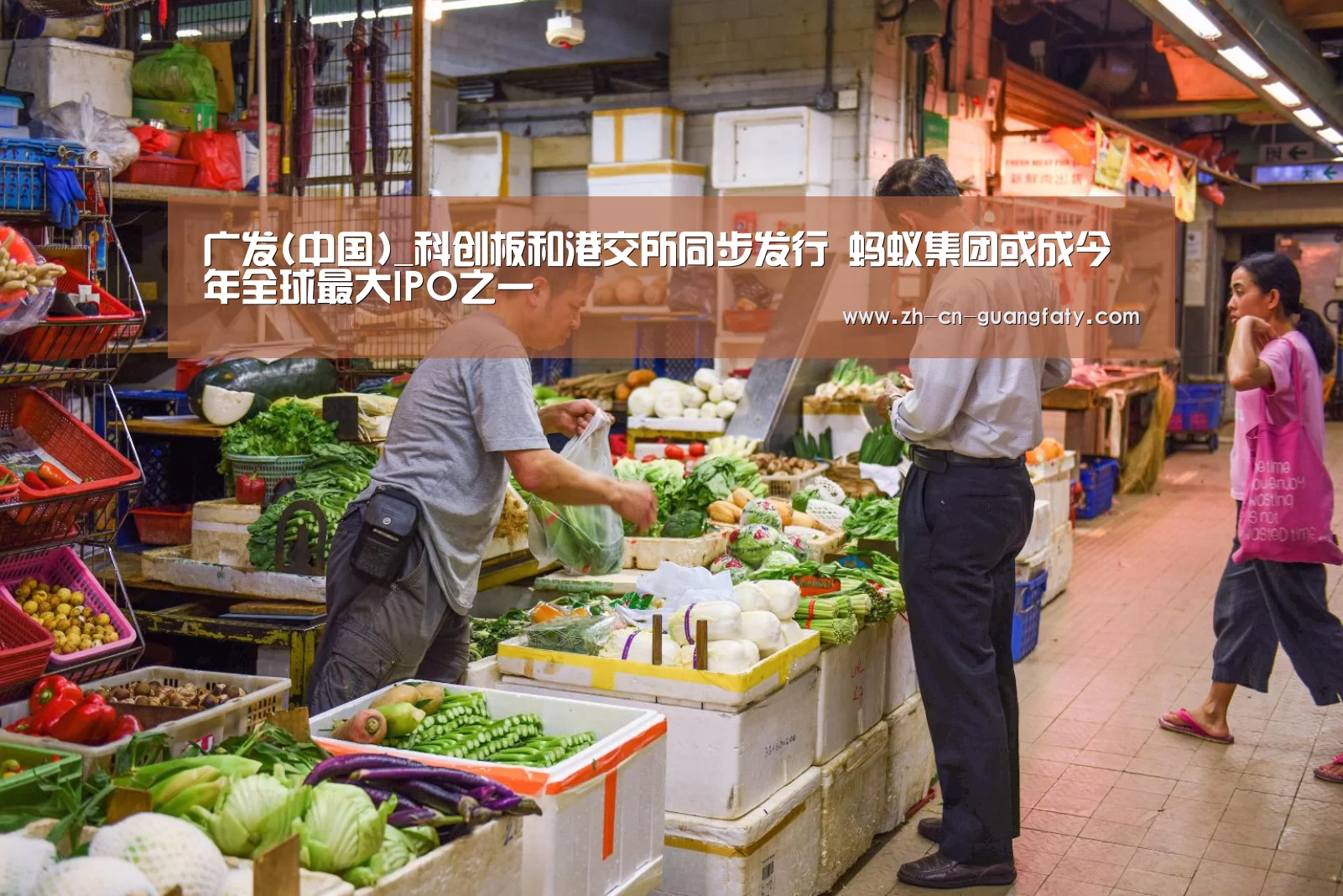 广发(中国)_科创板和港交所同步发行 蚂蚁集团或成今年全球最大IPO之一(图3) 广发(中国)